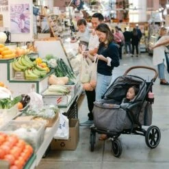 Larktale Sprout Single-to-Double Stroller/Wagon - Expandable And Foldable Stroller Wagon With Canopy, Storage, And Accessories - Nightcliff Stone -Baby Furniture Store GUEST 483f195b e267 40ca 8807 c20c3f2838dd