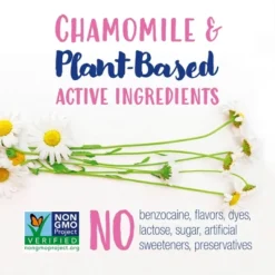 Boiron Camilia Teething Drops For Daytime And Nighttime Relief Of Painful Or Swollen Gums And Irritability In Babies - 30ct 14 Boiron Camilia Teething Drops For Daytime And Nighttime Relief Of Painful Or Swollen Gums And Irritability In Babies - 30ct -Baby Furniture Store GUEST 585b6e04 4411 4e77 b395 e174ad22e33d