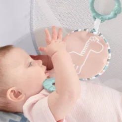 Fisher Price Fisher-Price Rock With Me Bassinet -Baby Furniture Store GUEST 6a6e621a 4269 48d0 b273 d91d9554e96c