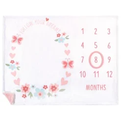 Hudson Baby Infant Girl Plush Holiday And Milestone Blanket, Follow Your Dreams, One Size
