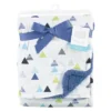 Hudson Baby Infant Boy Plush Blanket With Faux Shearling Back, Abstract, One Size