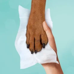 Pampers® Pampers Multi-Use Baby Wipes (Select Count) 12 Pampers® Pampers Multi-Use Baby Wipes (Select Count) -Baby Furniture Store GUEST ae3c826e 8f46 4d5a a707 fc047fa58e58